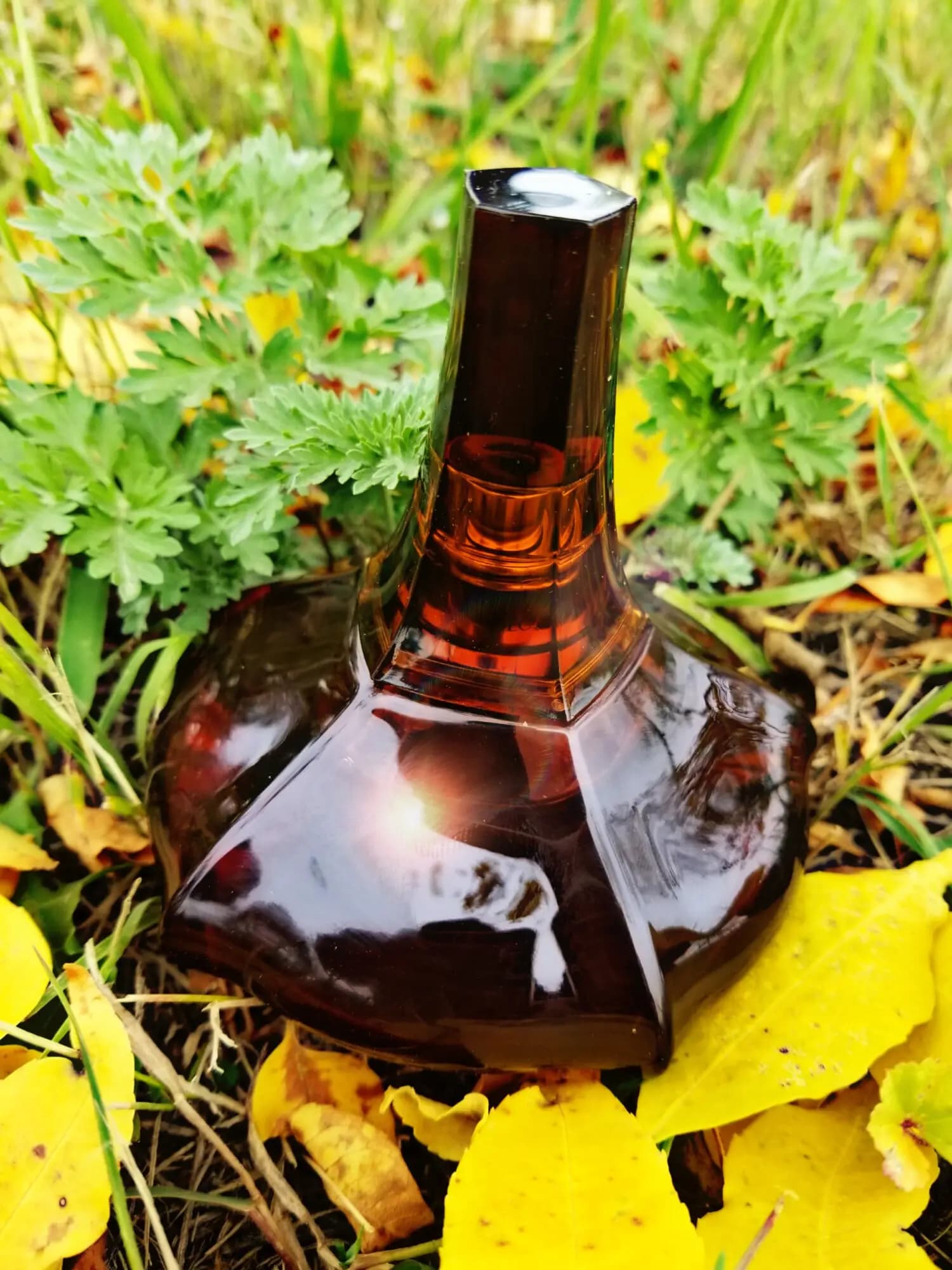 عطر ادکلن کلوین کلین (سی کی) سکرت آبسشن اصل | Calvin Klein Secret Obsession — تصویر ۴