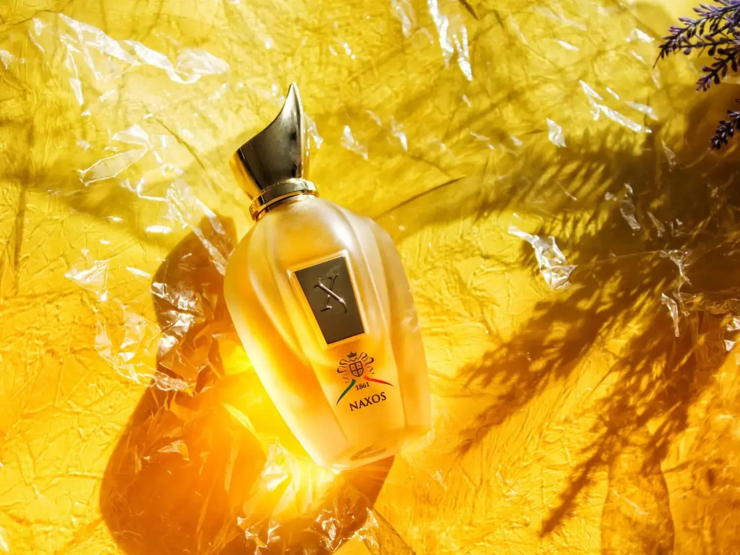 عطر ادکلن زرجوف ناکسوس اصل | Xerjoff XJ 1861 Naxos — تصویر ۷