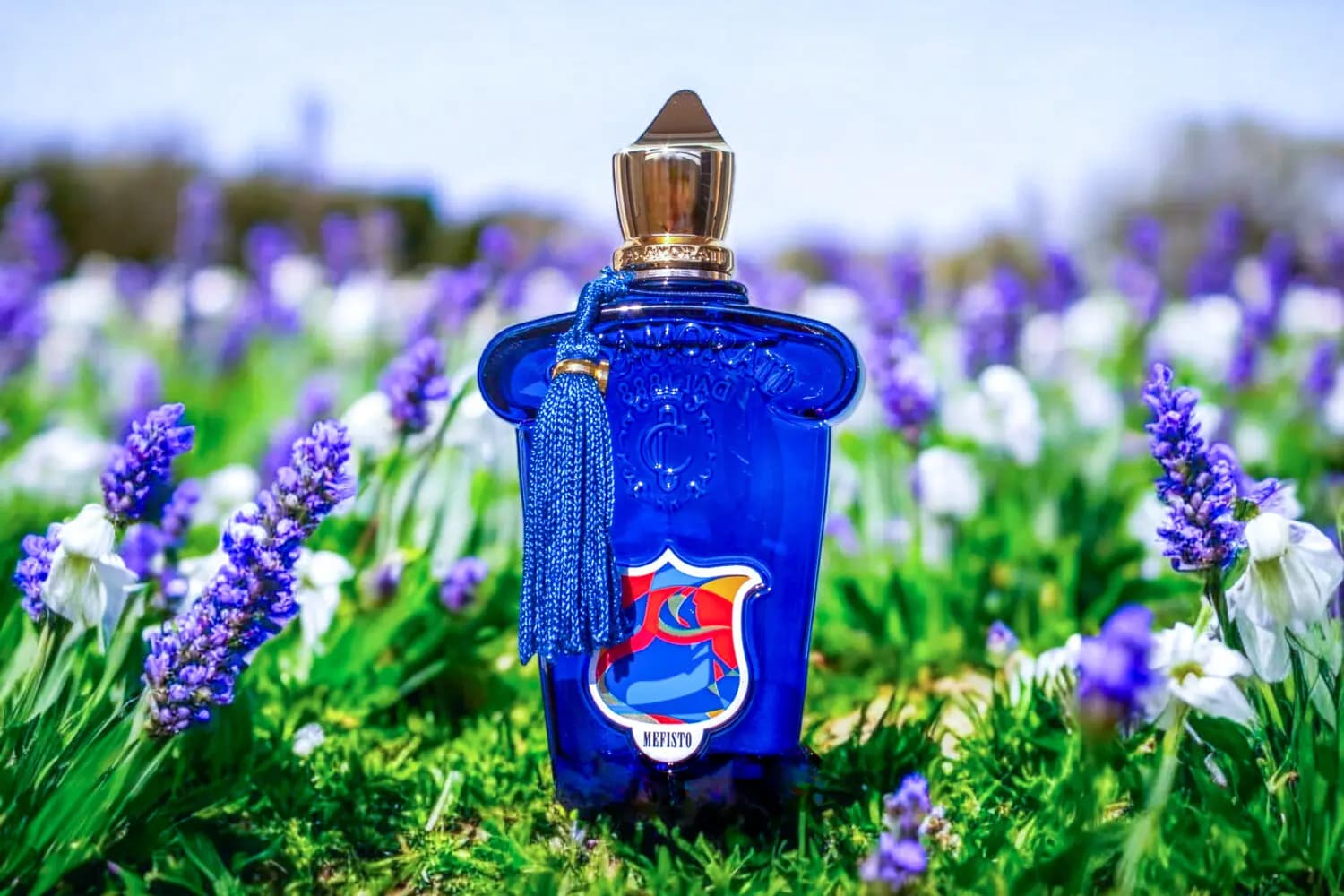 عطر ادکلن زرجوف کازاموراتی مفیستو اصل | Casamorati 1888 Mefisto — تصویر ۲