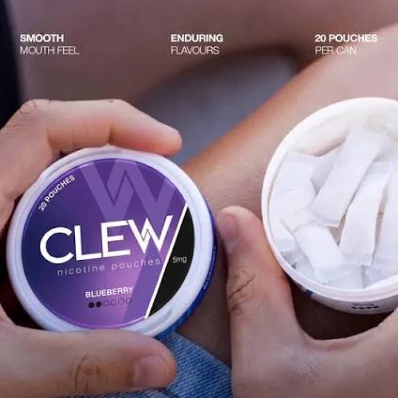کیسه نیکوتین کلو (CLEW) بلوبری با دوز 15 میلی گرم در هر کیسه — تصویر ۴