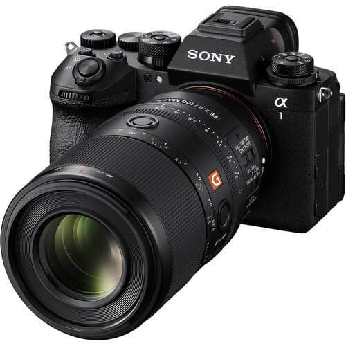 لنز ماکرو فولفریم سونی Sony FE 100mm f/2.8 GM با مانت E — تصویر ۶