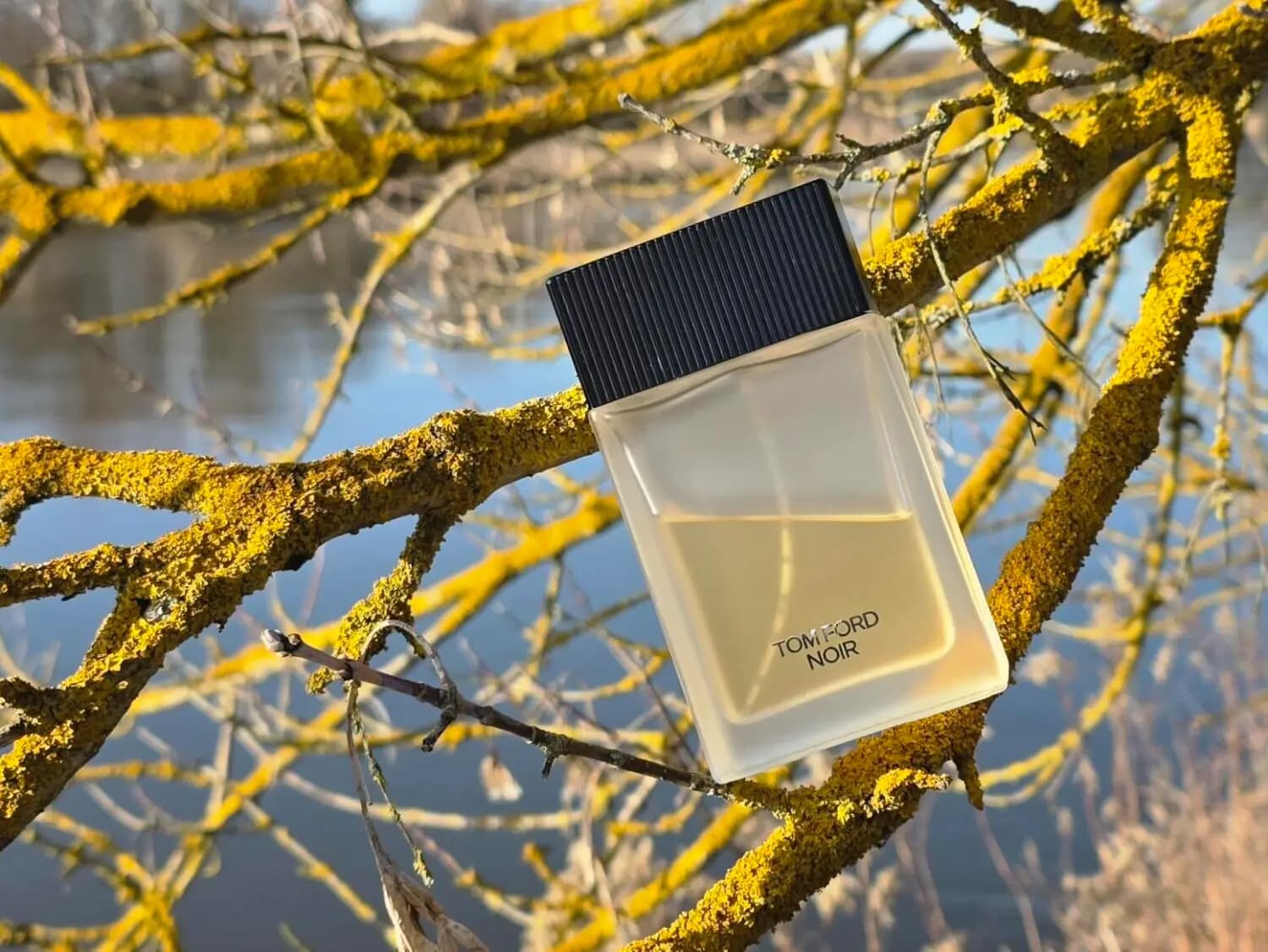 عطر ادکلن تام فورد نویر ادو تویلت اصل | Tom Ford Noir Eau de Toilette — تصویر ۷