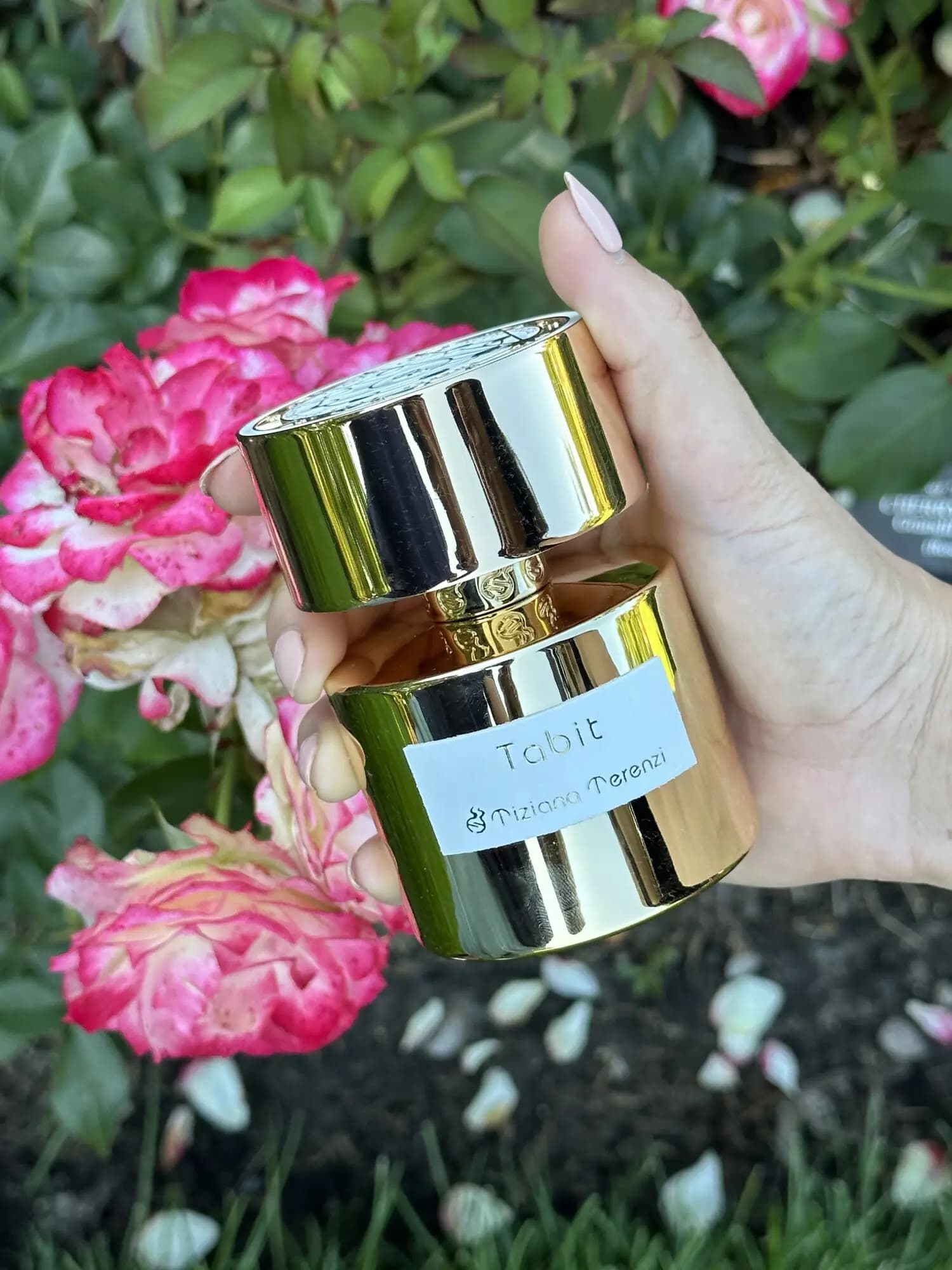 عطر ادکلن تیزیانا ترنزی تابیت اکستریت د پرفیوم اصل | Tiziana Terenzi Tabit — تصویر ۸