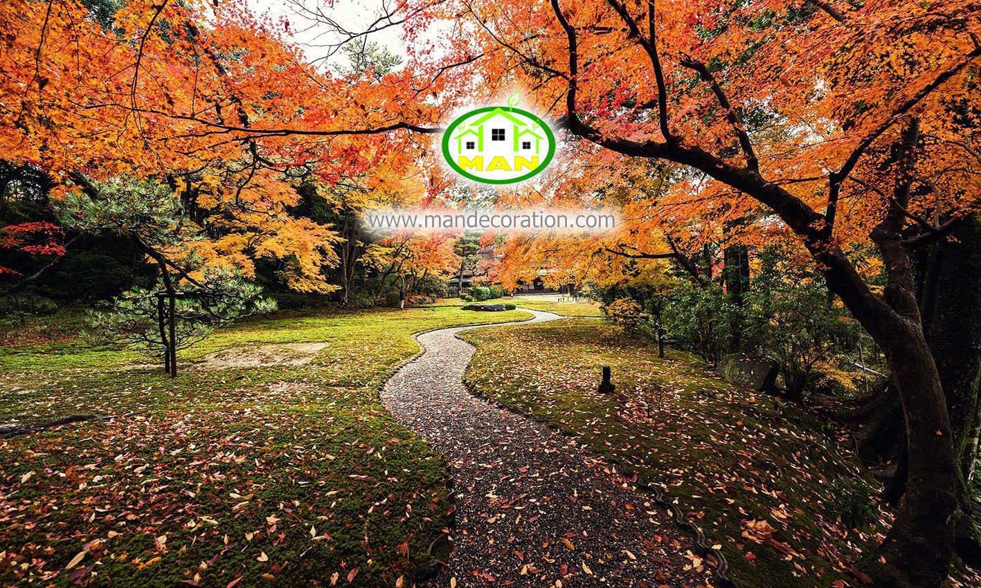 پوستردیواری جنگل پاییزی کد 12533