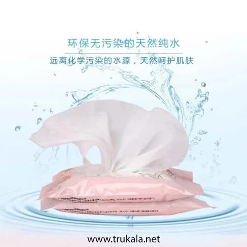 دستمال مرطوب پاک کننده آرایش رورک مدل Natural Care بسته 25 عددی — تصویر ۲