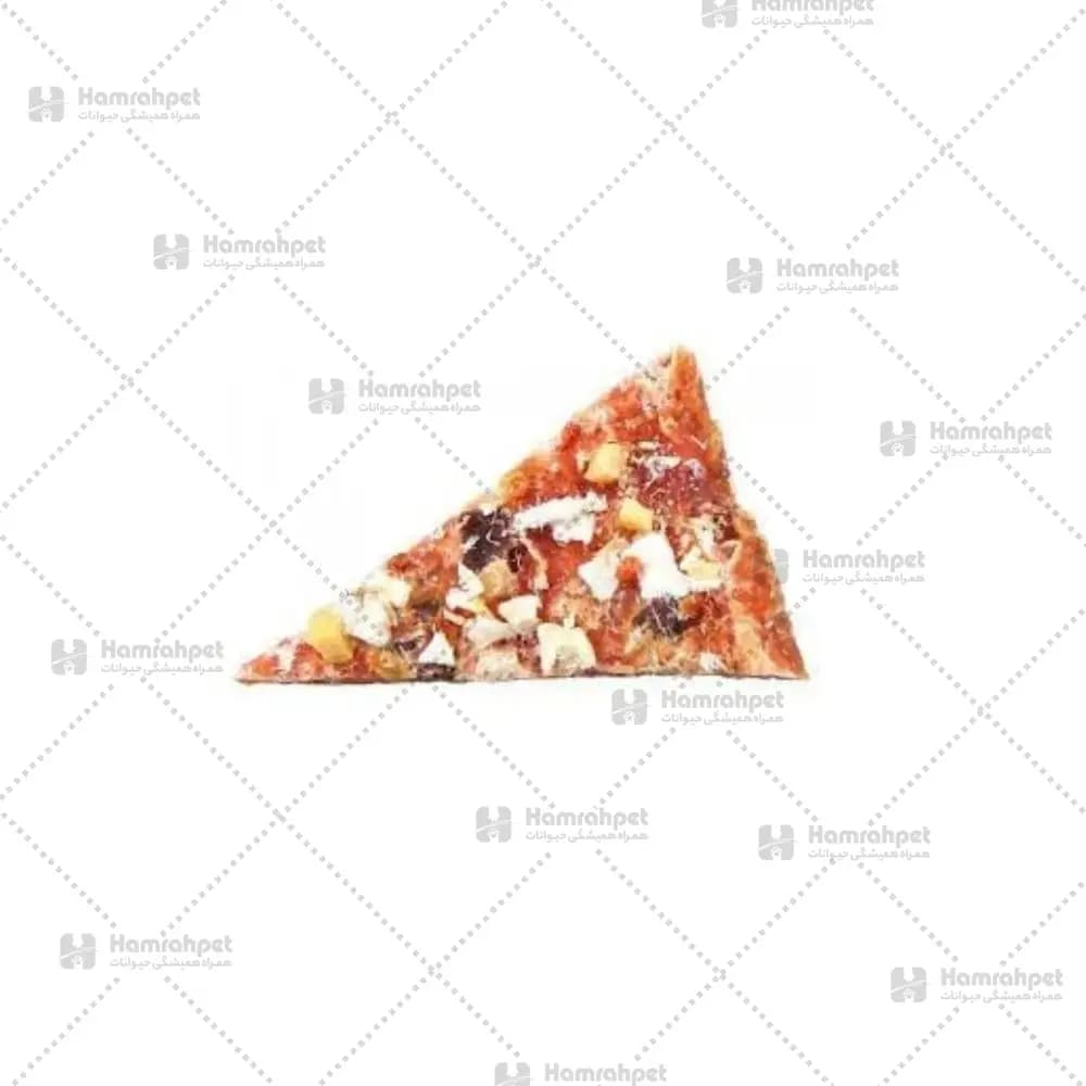 تشویقی سگ تریکسی مدل پیتزا Trixie Premio Chicken Pizza 100G — تصویر ۲