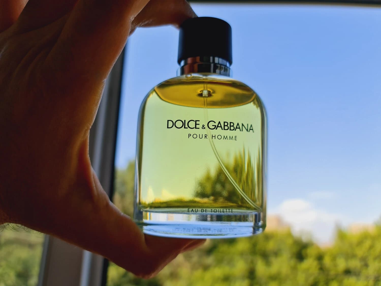 عطر ادکلن دی اند جی دلچه گابانا پور هوم اصل | Dolce Gabbana Pour Homme — تصویر ۷