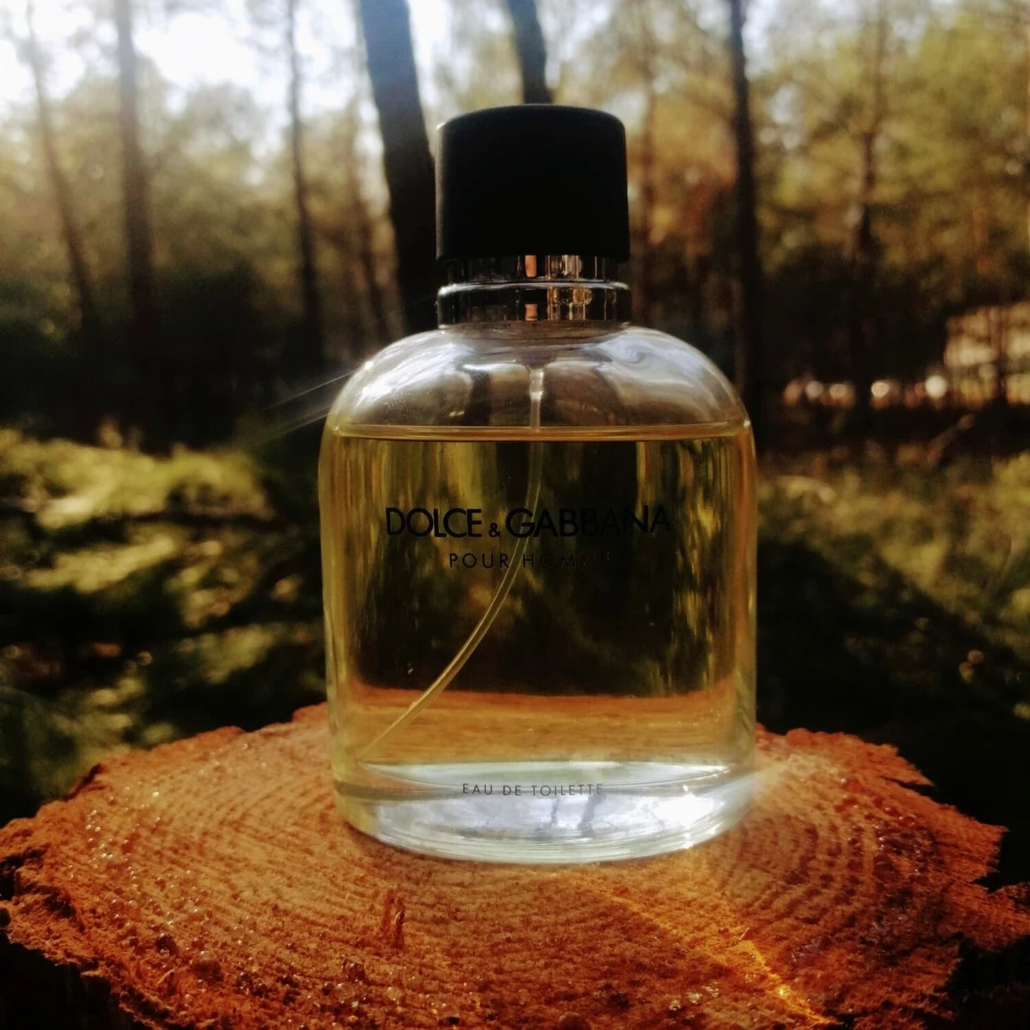 عطر ادکلن دی اند جی دلچه گابانا پور هوم اصل | Dolce Gabbana Pour Homme — تصویر ۳