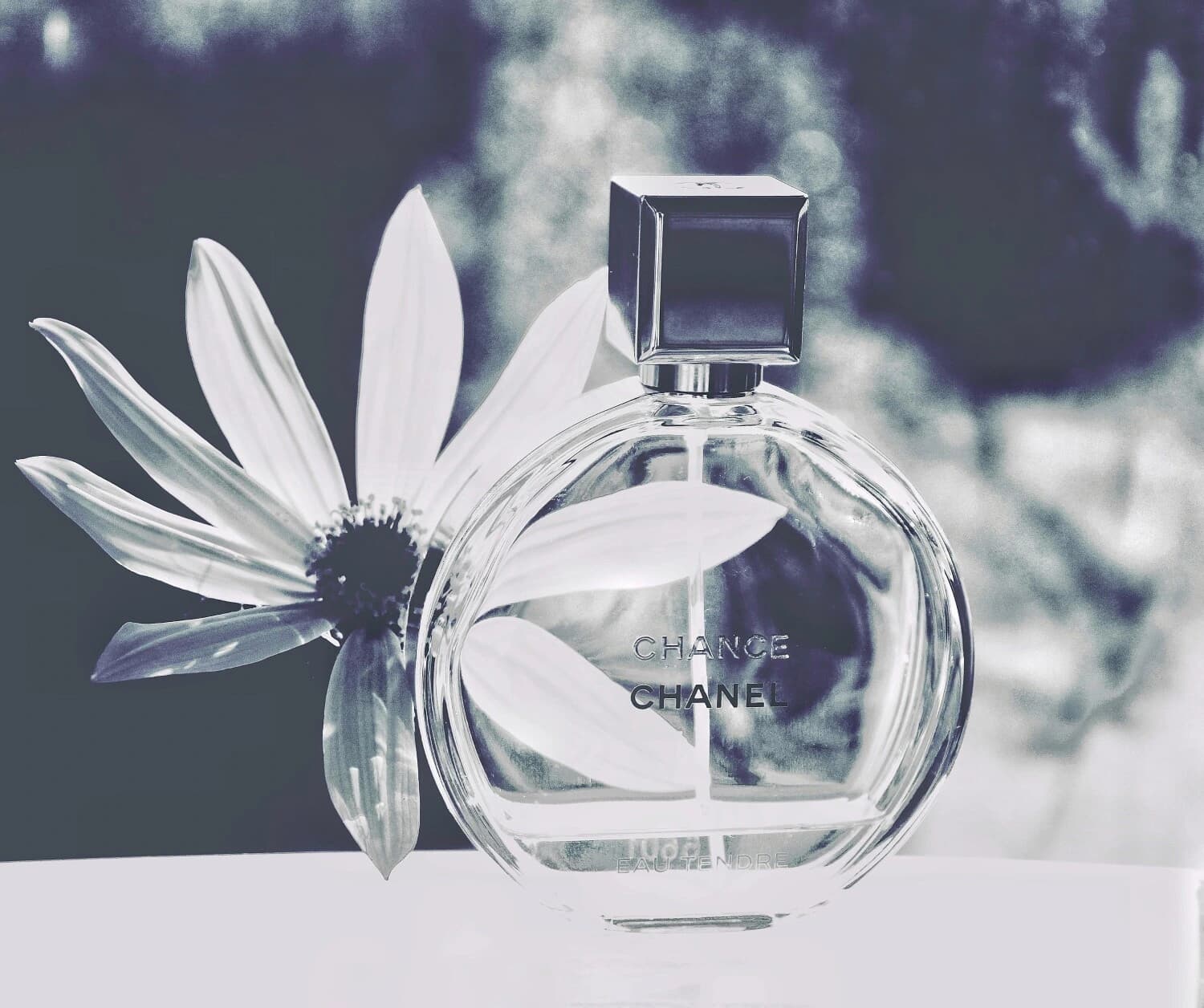 عطر ادکلن شنل چنس او تندر اصل | Chanel Chance Eau Tendre 150 ml — تصویر ۷