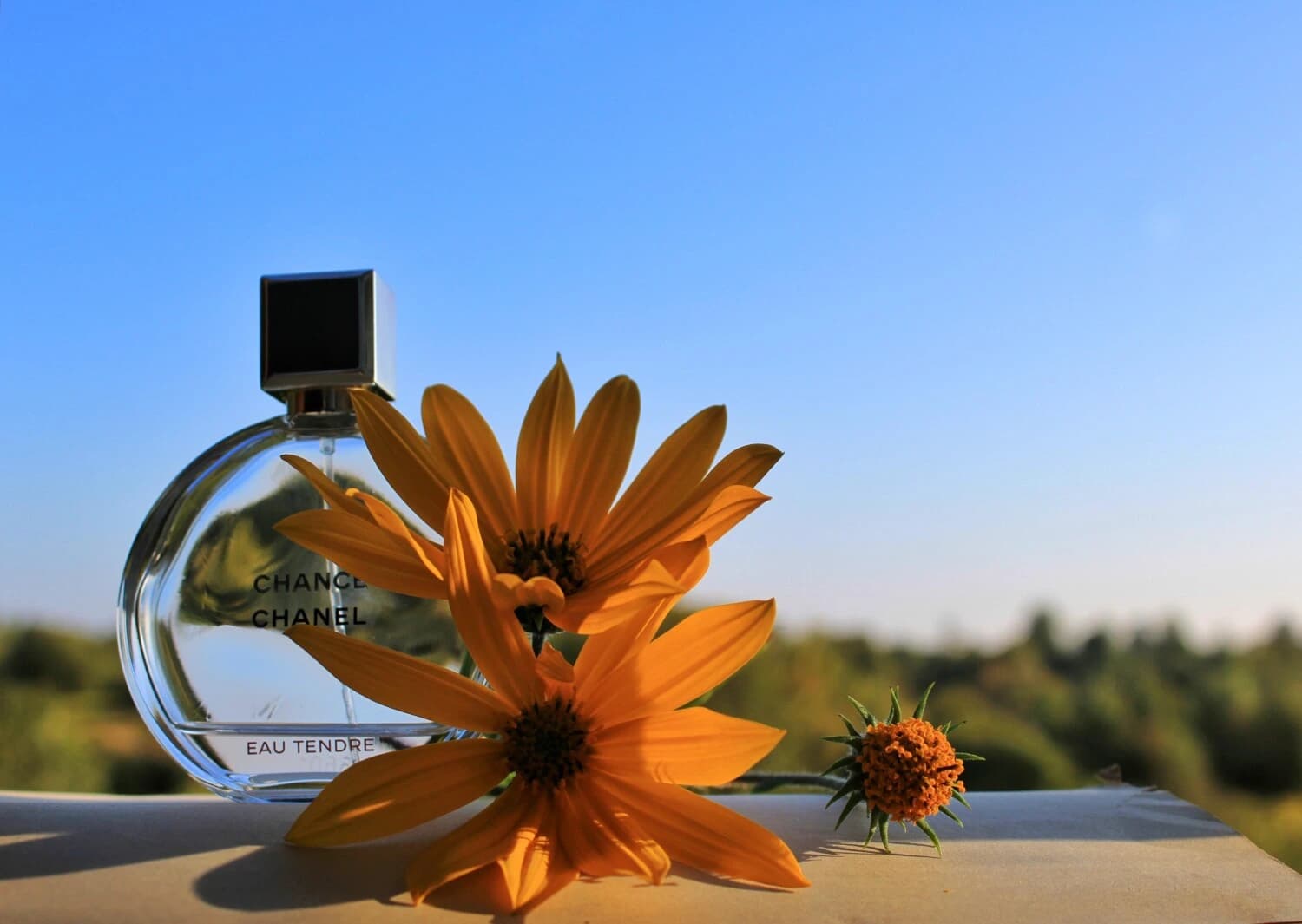 عطر ادکلن شنل چنس او تندر اصل | Chanel Chance Eau Tendre 150 ml — تصویر ۸