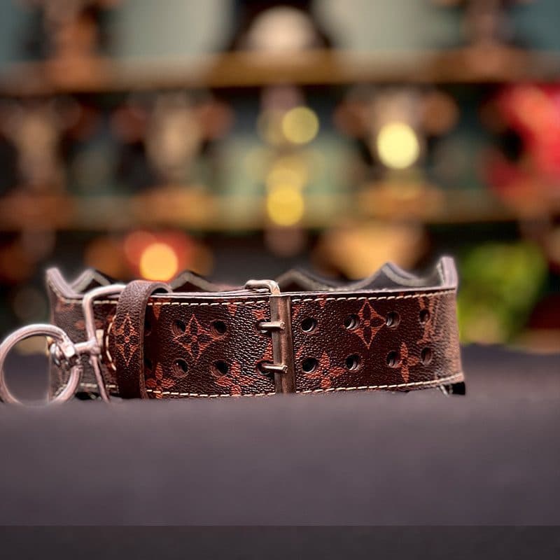 ست قلاده سگ Louis Vuitton قهوهای — تصویر ۵