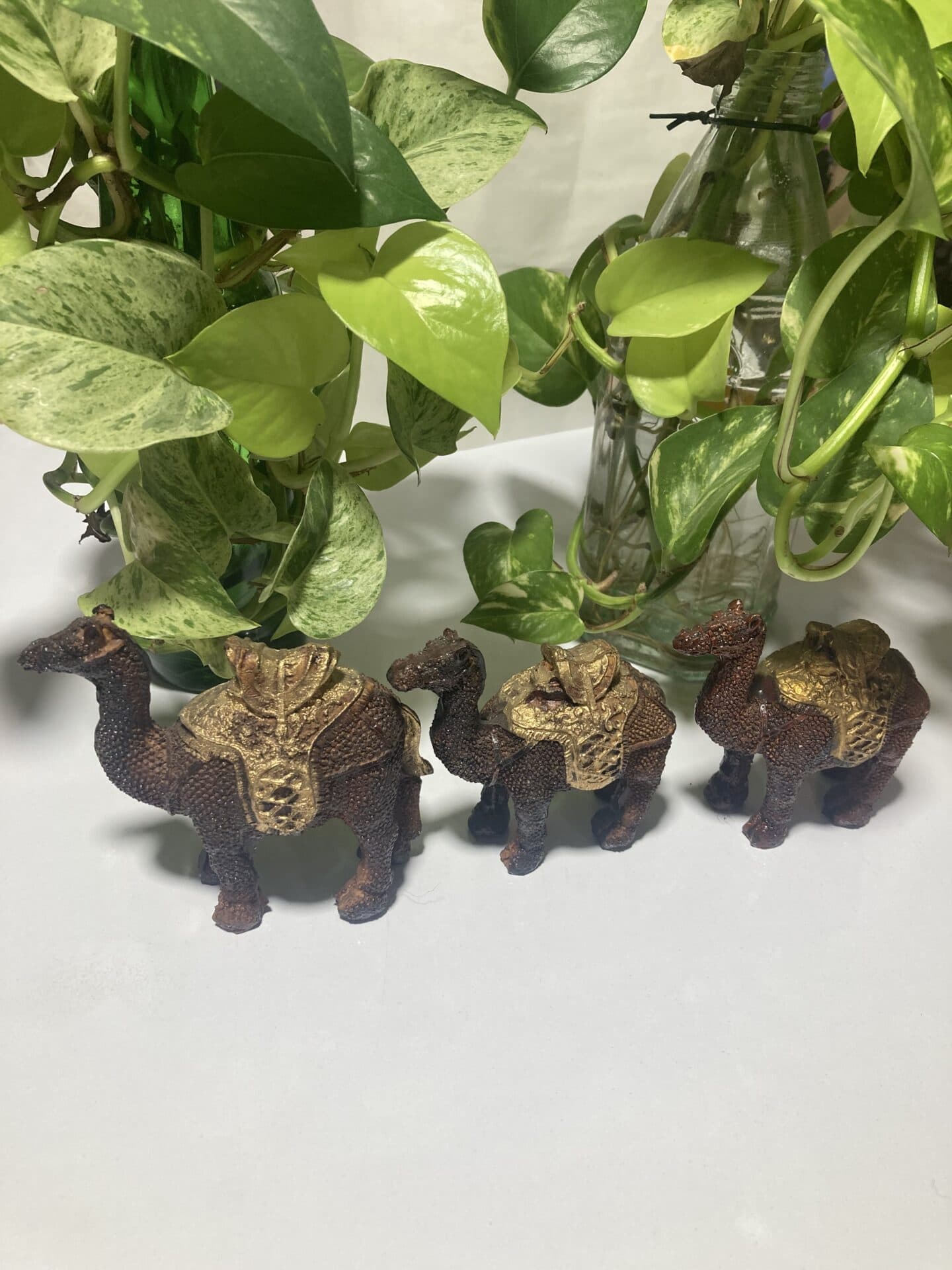 مجسمه شتر سه تیکه — تصویر ۳
