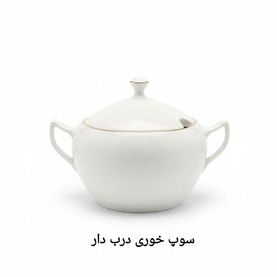 سرویس چینی الیزابت طرح لب طلا (گلدن لاین) 6 نفره 28 پارچه سفارشی چینی توس قالب ملبورن — تصویر ۳