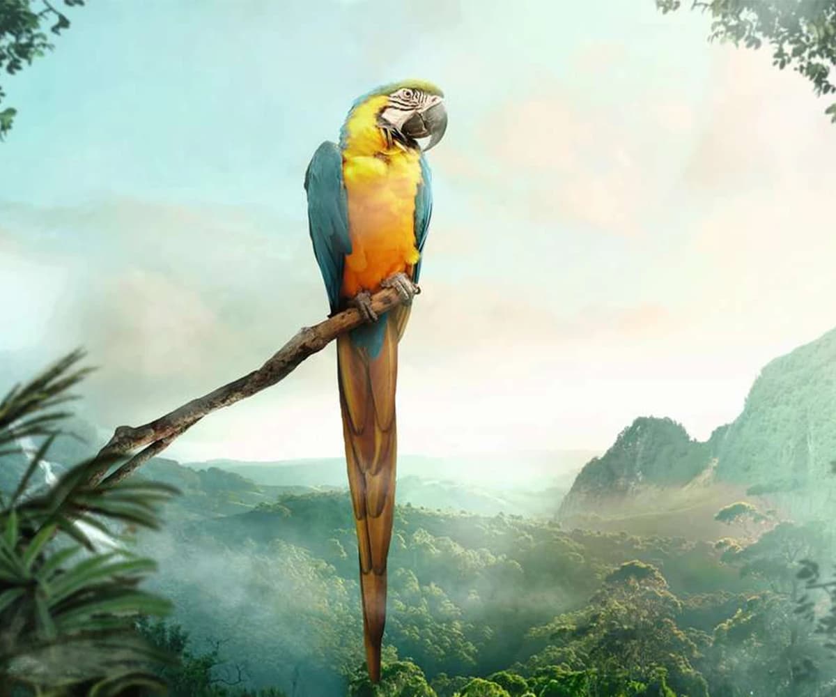 پازل 99 تكه رونزبرگر طرح Parrot كد 16539 — تصویر ۲