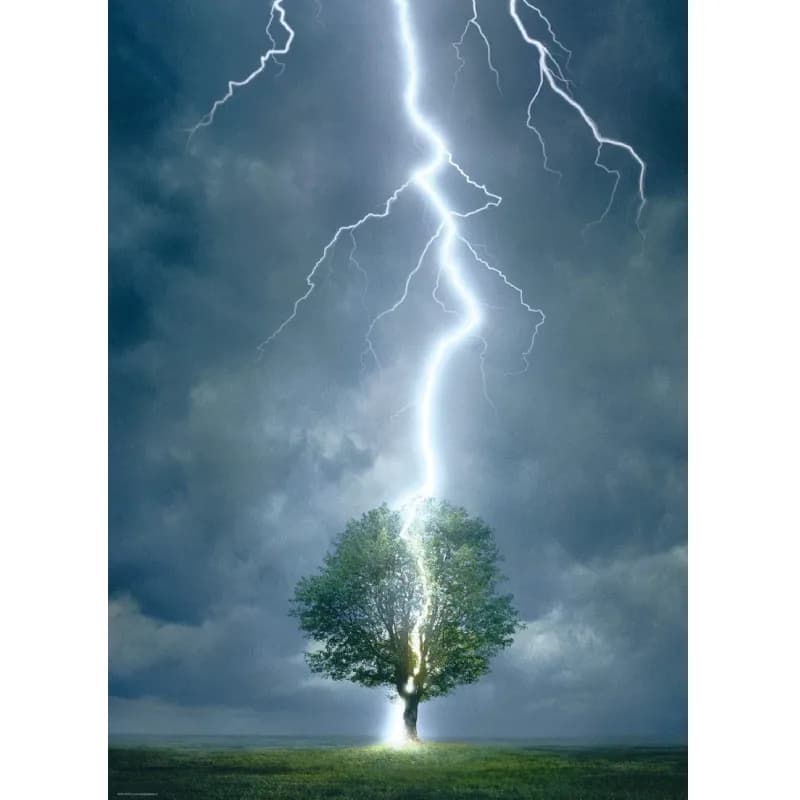 پازل 1000 تكه یوروگرافیک طرح Lightning Striking Tree كد 4570-6000 — تصویر ۲