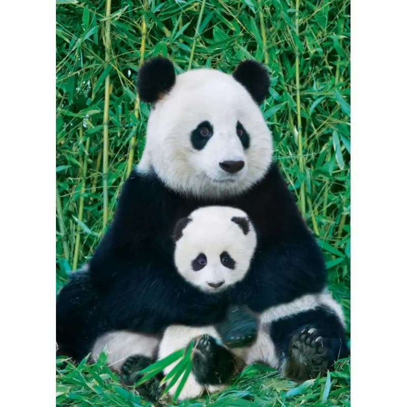 پازل 1000 تكه یوروگرافیک طرح Panda and Baby كد 0173-6000 — تصویر ۲