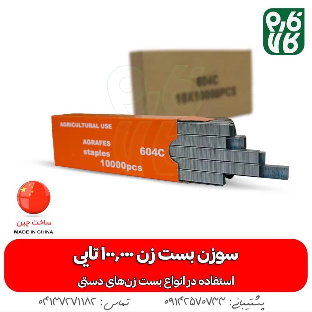 سوزن منگنه بست زن — تصویر ۲