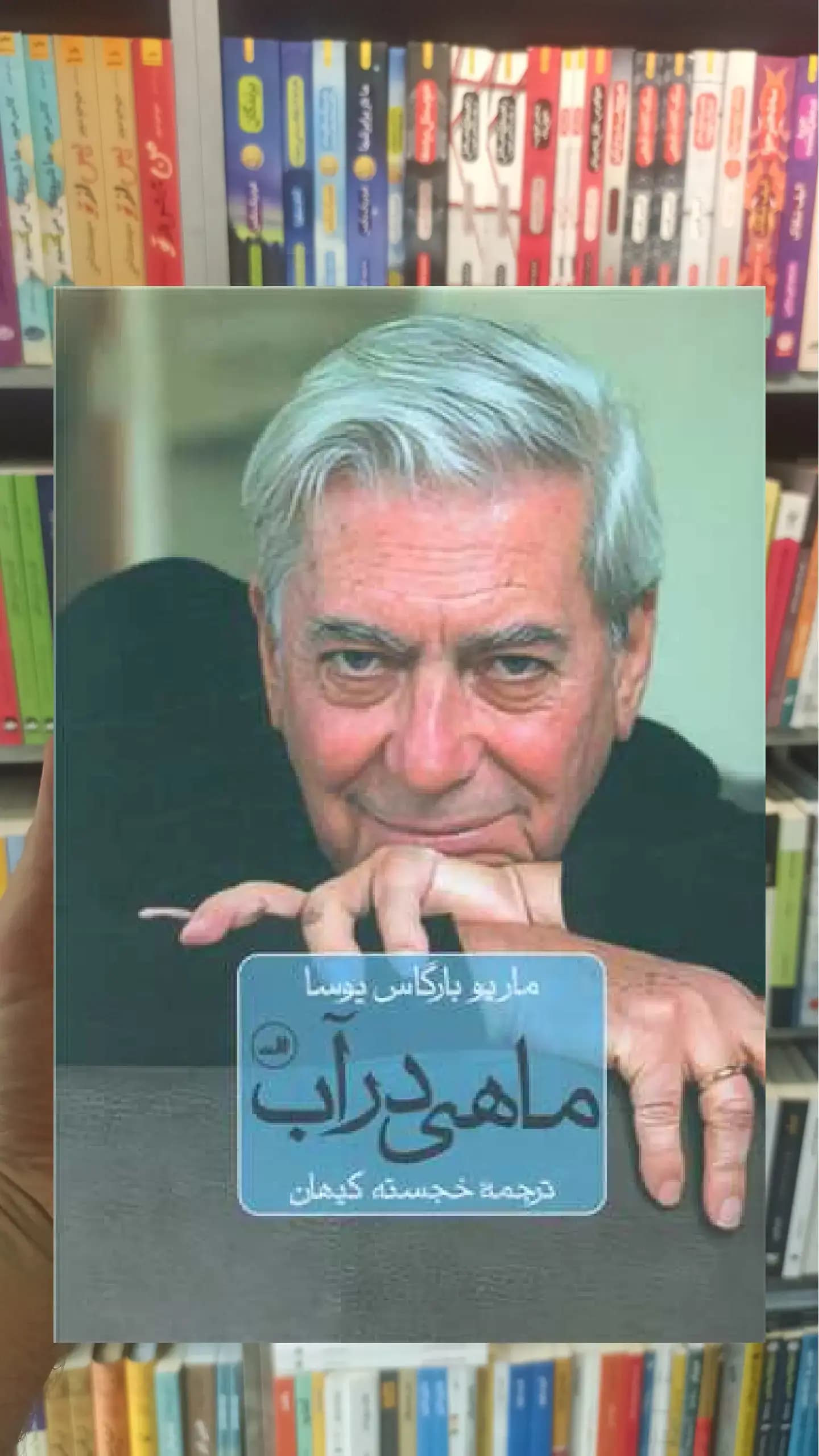 ماهی در آب گالینگور ثالث