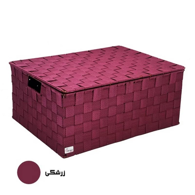 نظم دهنده لباس اسکلت دار درب دار سایز متوسط داریسان — تصویر ۲