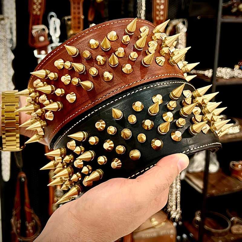 قلاده ساگورا