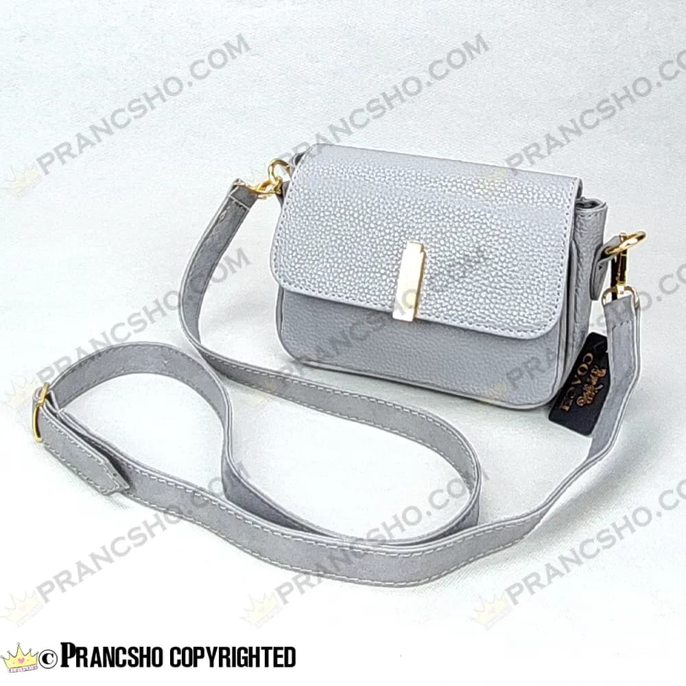 کیف پاسپورتی طرح کوچ (COACH) طوسی روشن