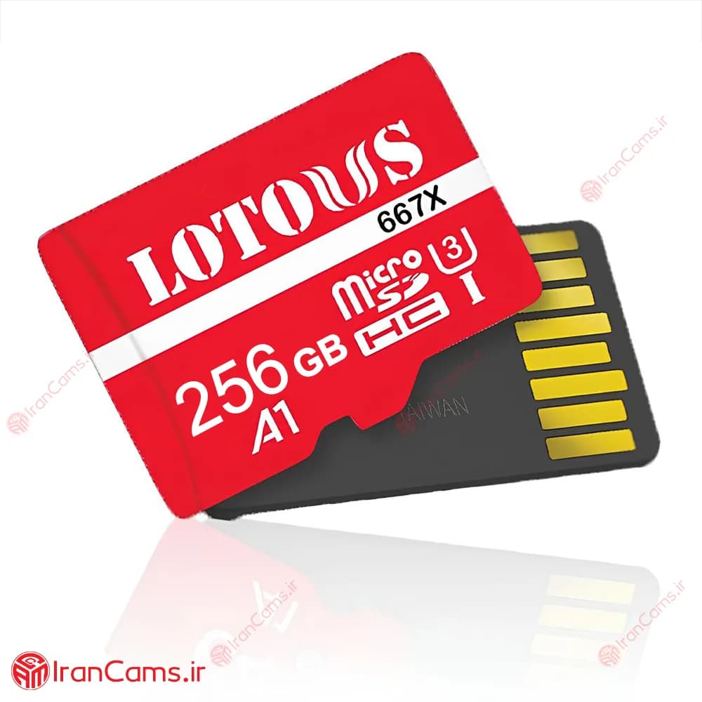 کارت حافظه میکرو اس دی 256 گیگابایت لوتوس LOTOUS 667X — تصویر ۲