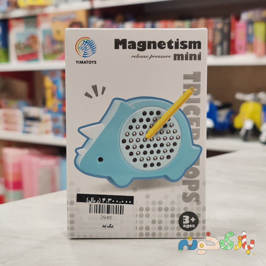 لم و تخته آهنربایی مگنتی Magnetism بازی فکری کودک — تصویر ۲