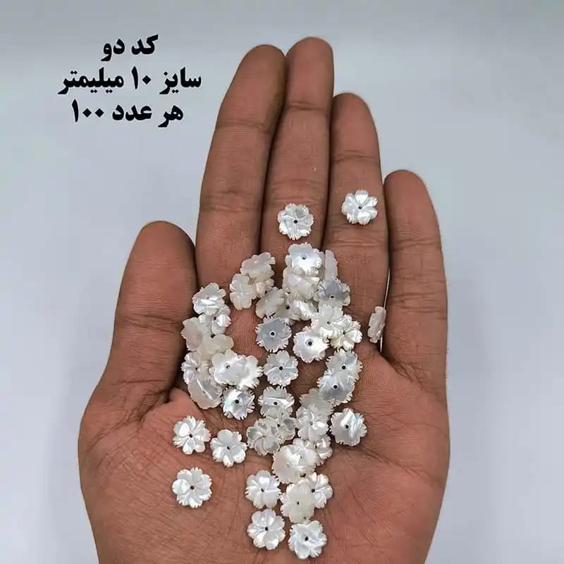 خرجکار صدف درجه یک کد 1902 — تصویر ۲