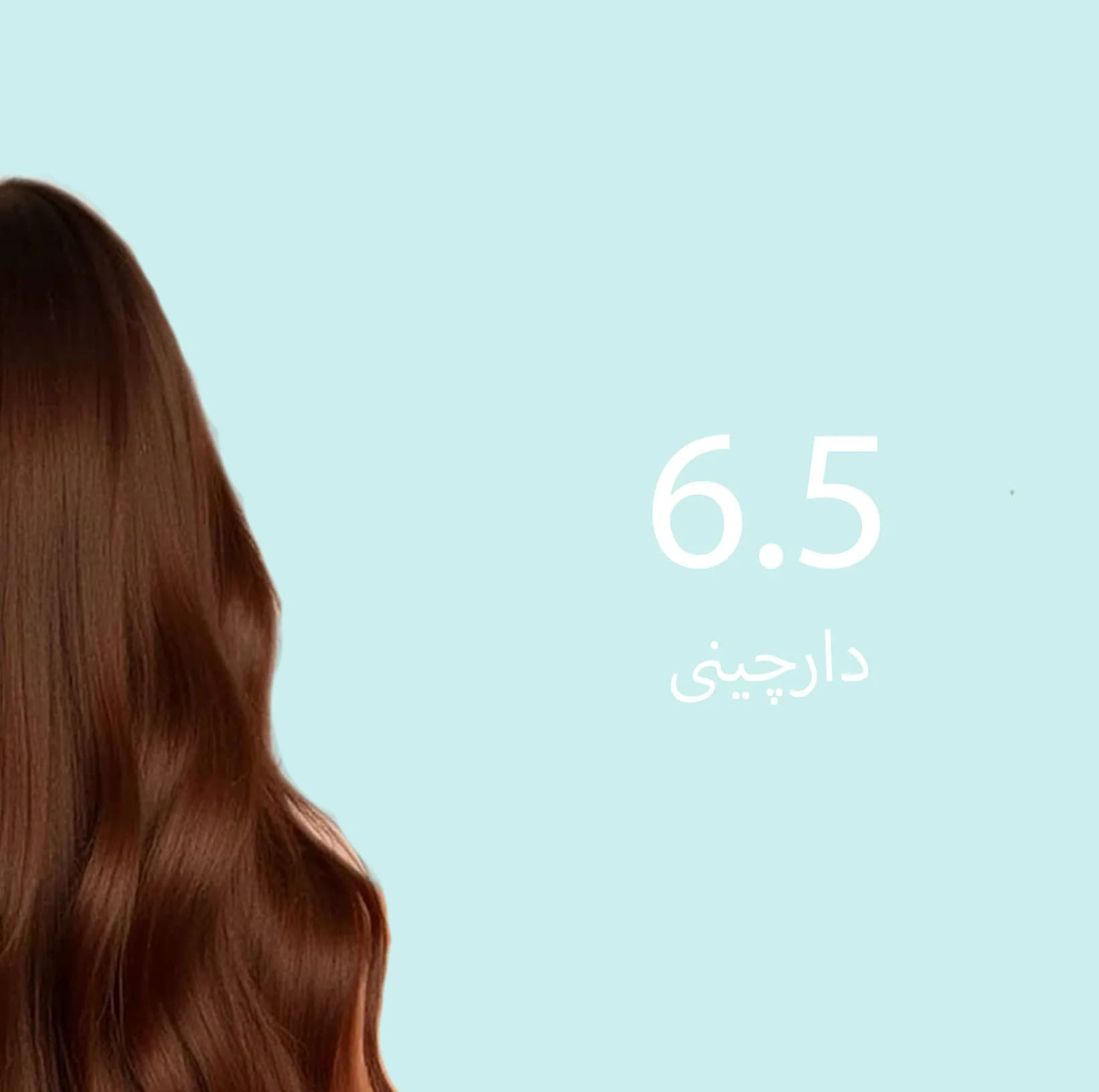 شامپو رنگ مو تونیکا مدل 6.5 رنگ دارچینی بدون آمونیاک، مناسب برای رنگآمیزی سریع و سالم موهای روشن حجم 150 میلیلیتر — تصویر ۲