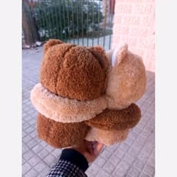 عروسک خرس عاشق یا دوقلو — تصویر ۶