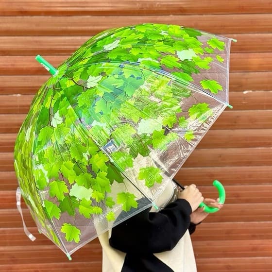 چتر شیشه ای مدل پاییزه — تصویر ۵