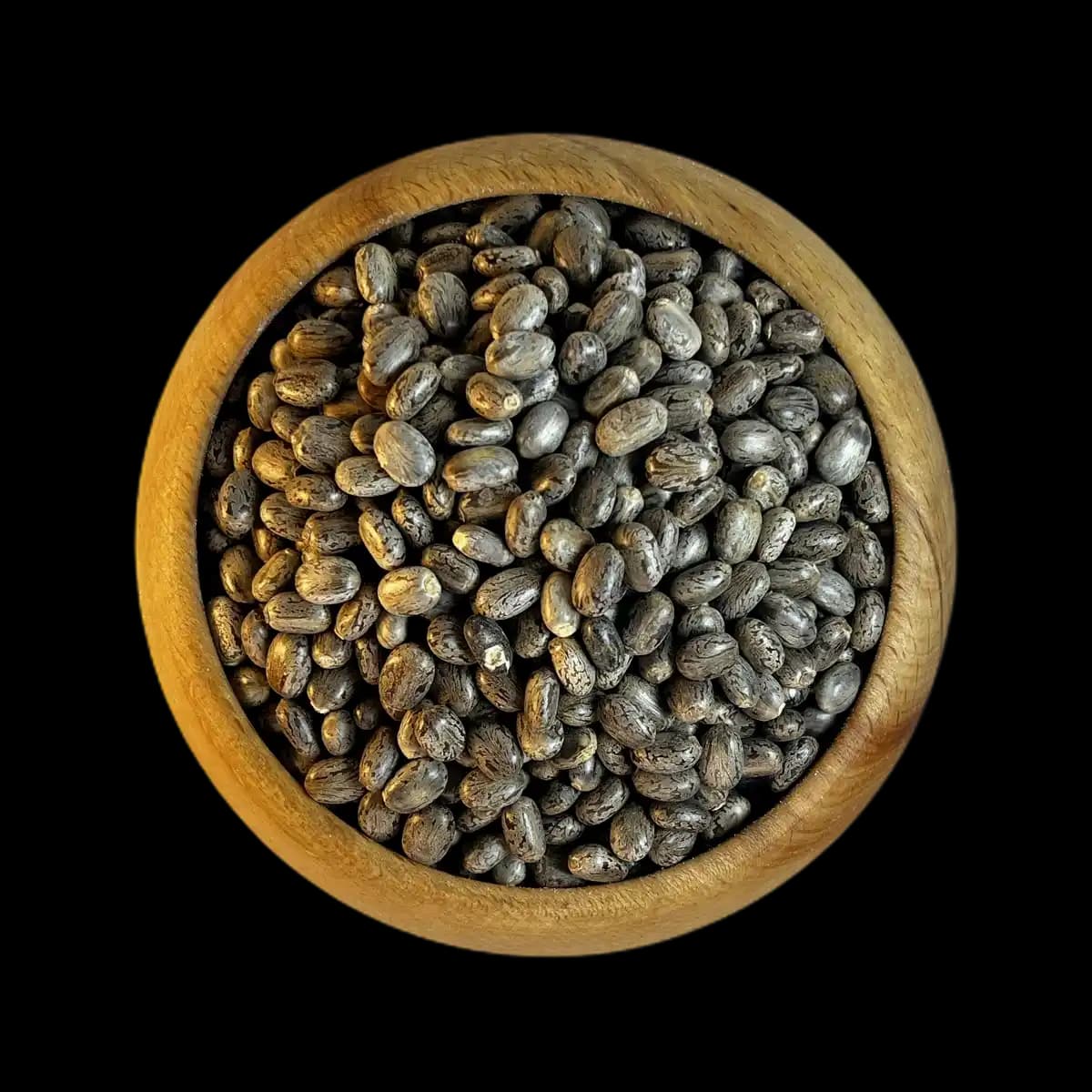 دانه کرچک – 1 کیلوگرم — تصویر ۲