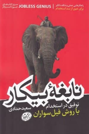دانلود PDF کتاب نابغهٔ بیکار اثر سعید حدادی