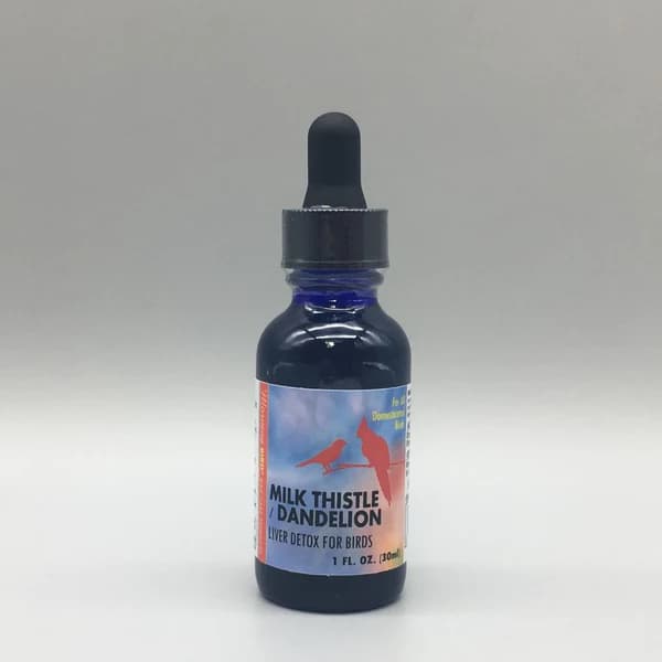 کبدشور MILK THISTLE / DANDELION مورنینگ برد