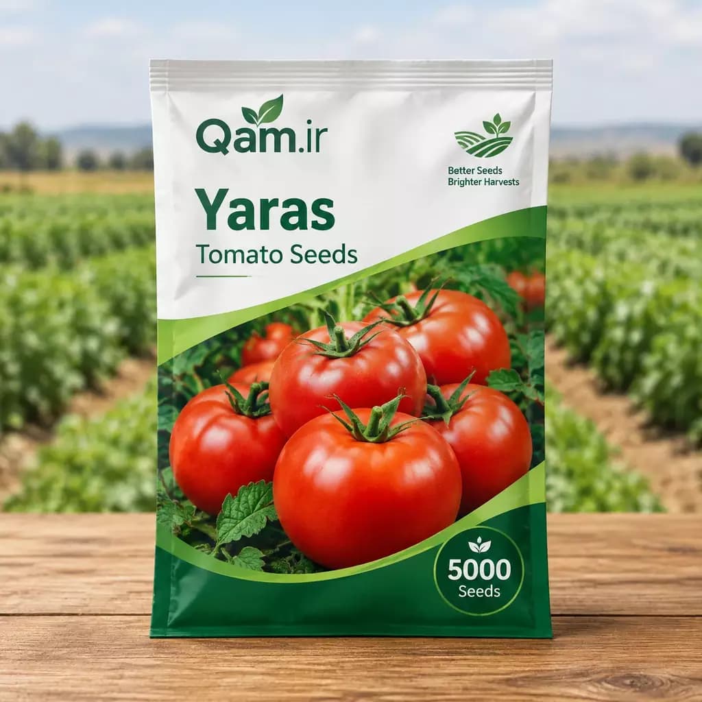 بذر گوجه فرنگی یارس