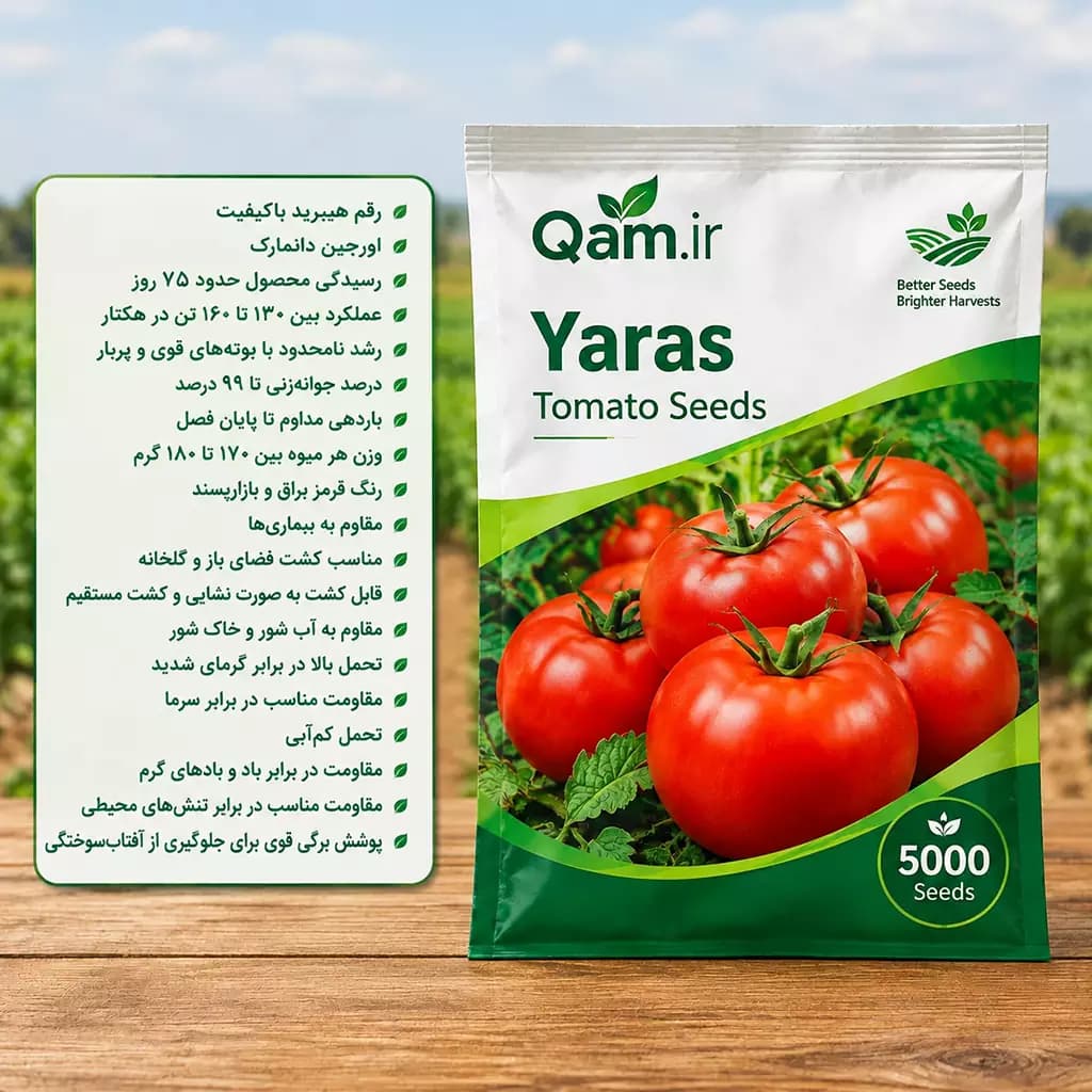 بذر گوجه فرنگی یارس — تصویر ۲