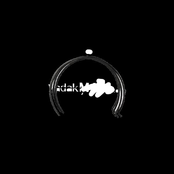 خار النگویی گیربکس پیکان روا اردی اریسان یک والتون اصل