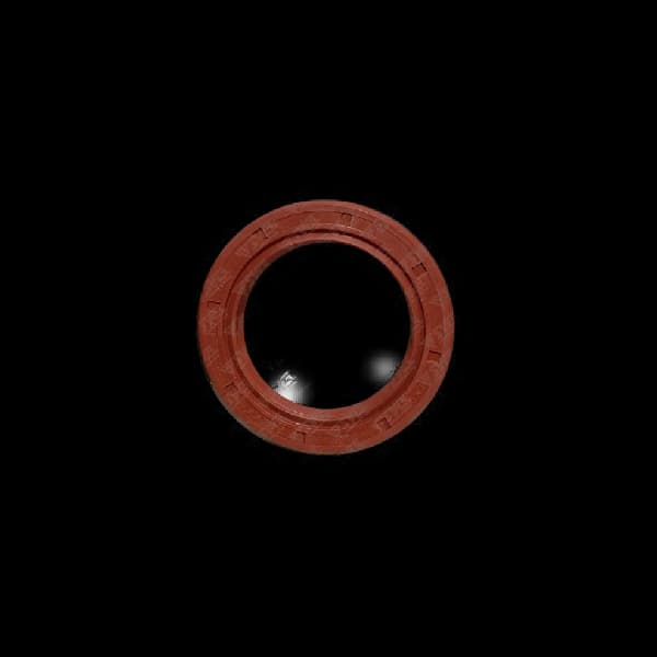 کاسه نمد پلوس (چرخ عقب) اریسان یک CBS اصل
