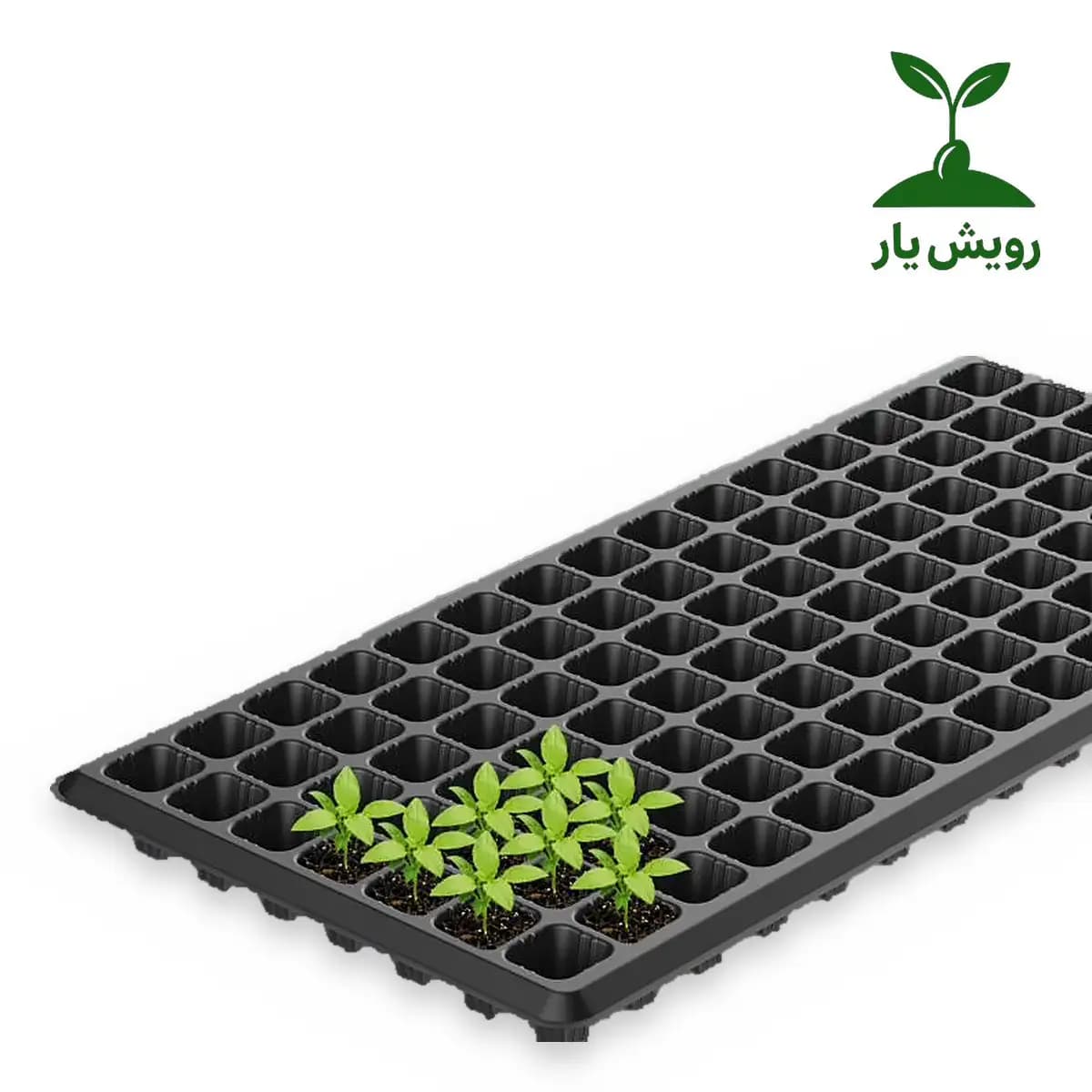 سینی نشاء پلاستیکی 105 حفره | گروه کشاورزی دکتر آل بوعلی