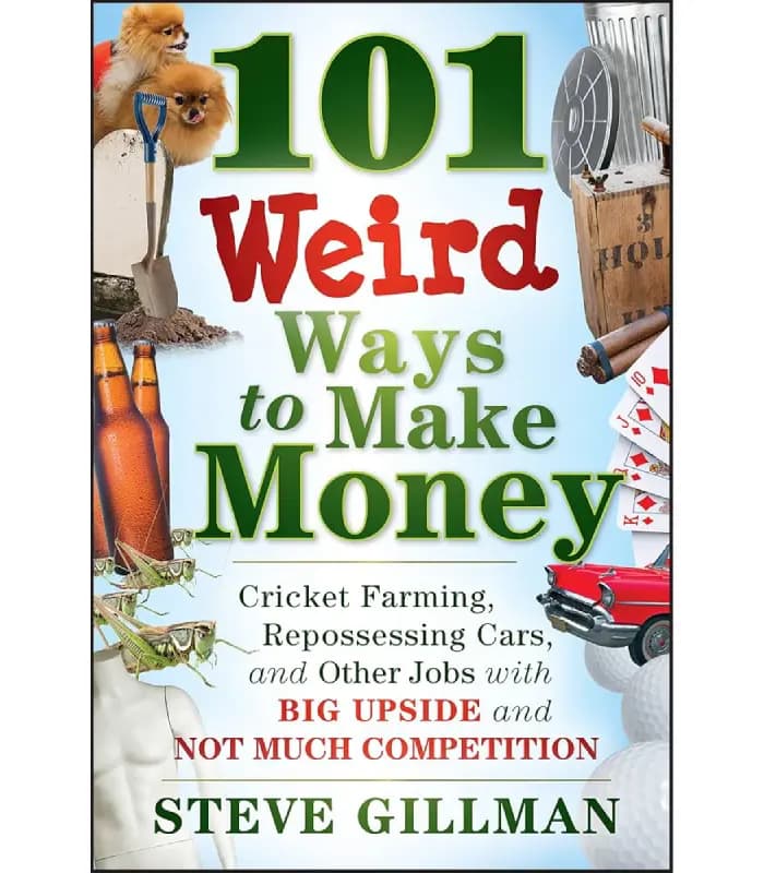 کتاب 101 Weird Ways to Make Money (۱۰۱روش عجیب برای پول درآوردن ) اثر استیو گیلمن – نسخه انگلیسی PDF