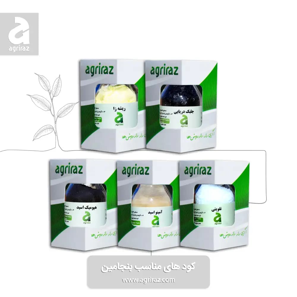 کود مناسب بنجامین