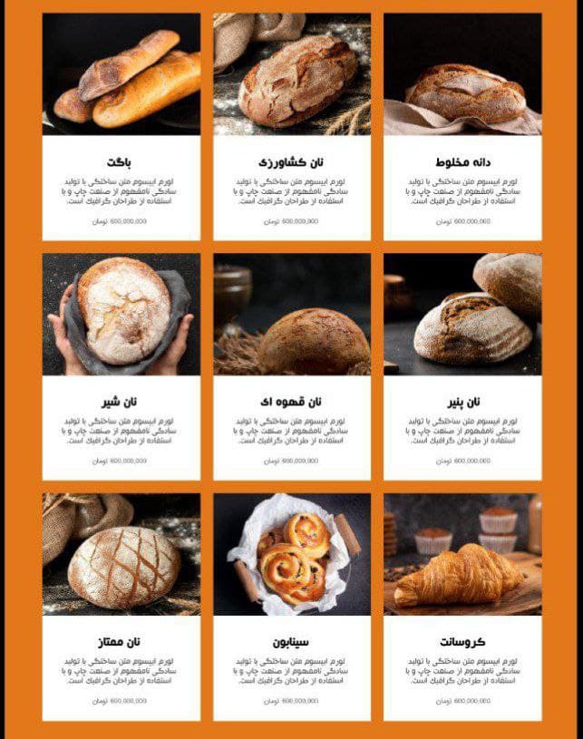 طراحی سایت فروشگاهی با پرداخت قسطی