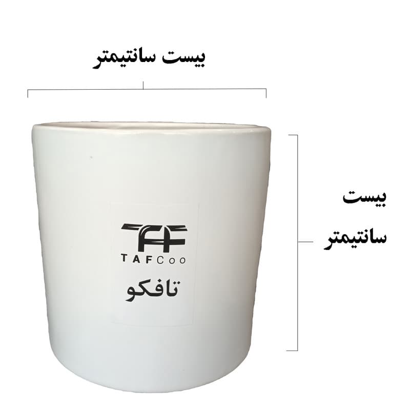 گل طبیعی فیلودندرون بلک تافکو کد 2038 — تصویر ۴