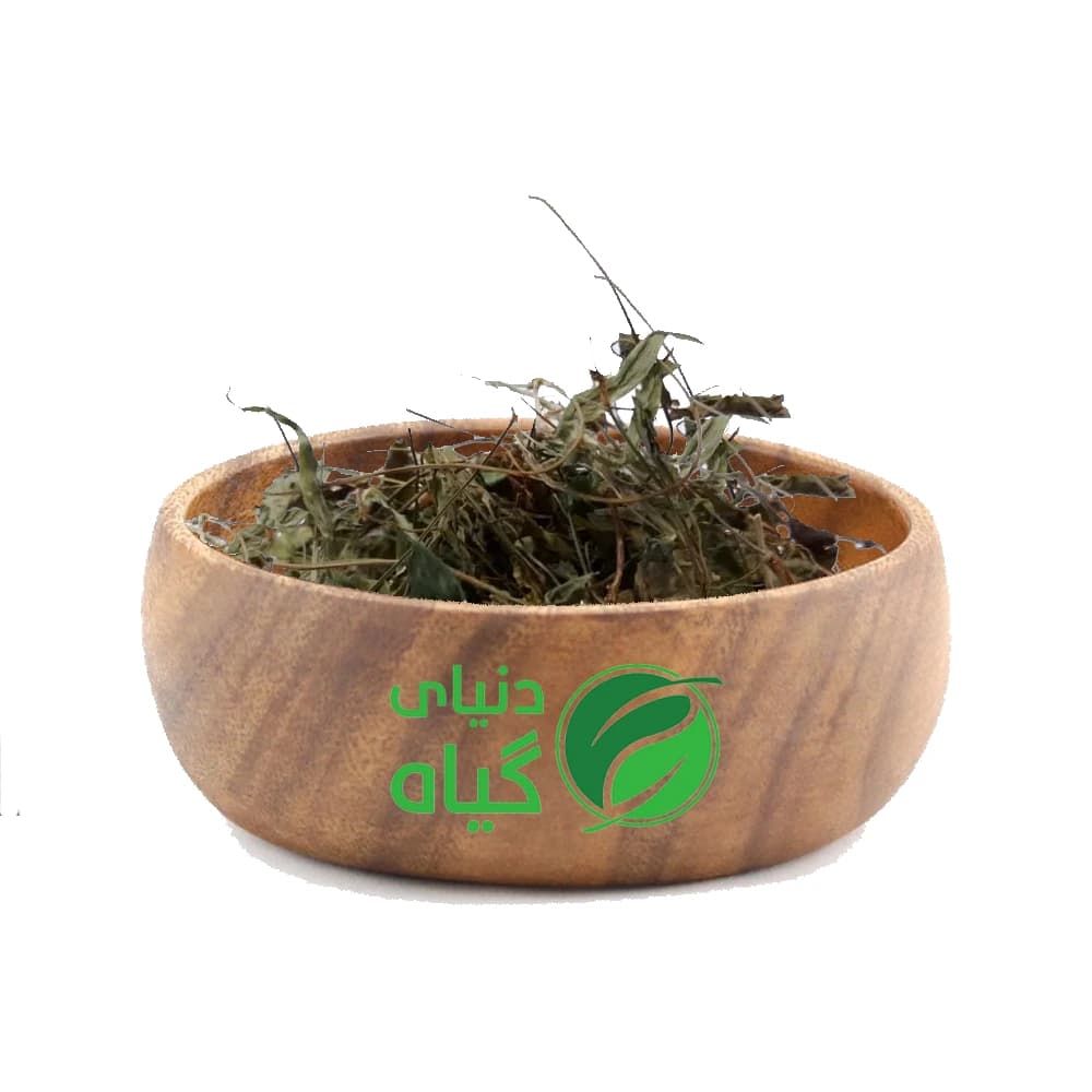 برگ بنفشه (اصل)