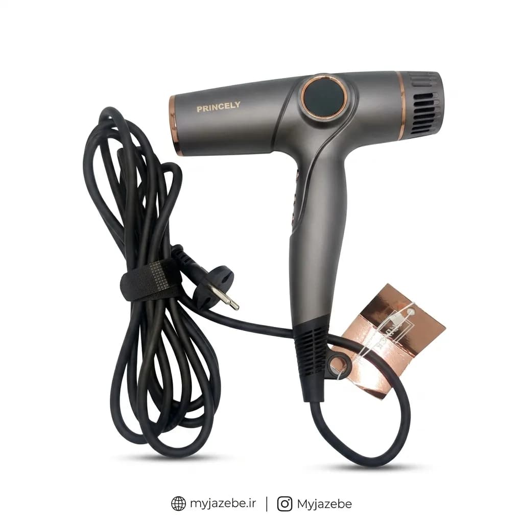 سشوار موتور BLDC نمایشگردار 1800وات پرنسلی 281 — تصویر ۲