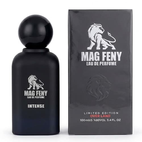 ادکلن مردانه اورلند مدل MAG FENY حجم 100 میلی لیتر