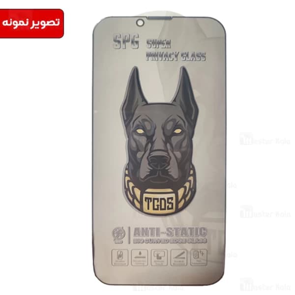 گلس حریم شخصی تمام صفحه تمام چسب آیفون Apple iPhone 13 Pro Max SPG ESD Anti Static Glass — تصویر ۲
