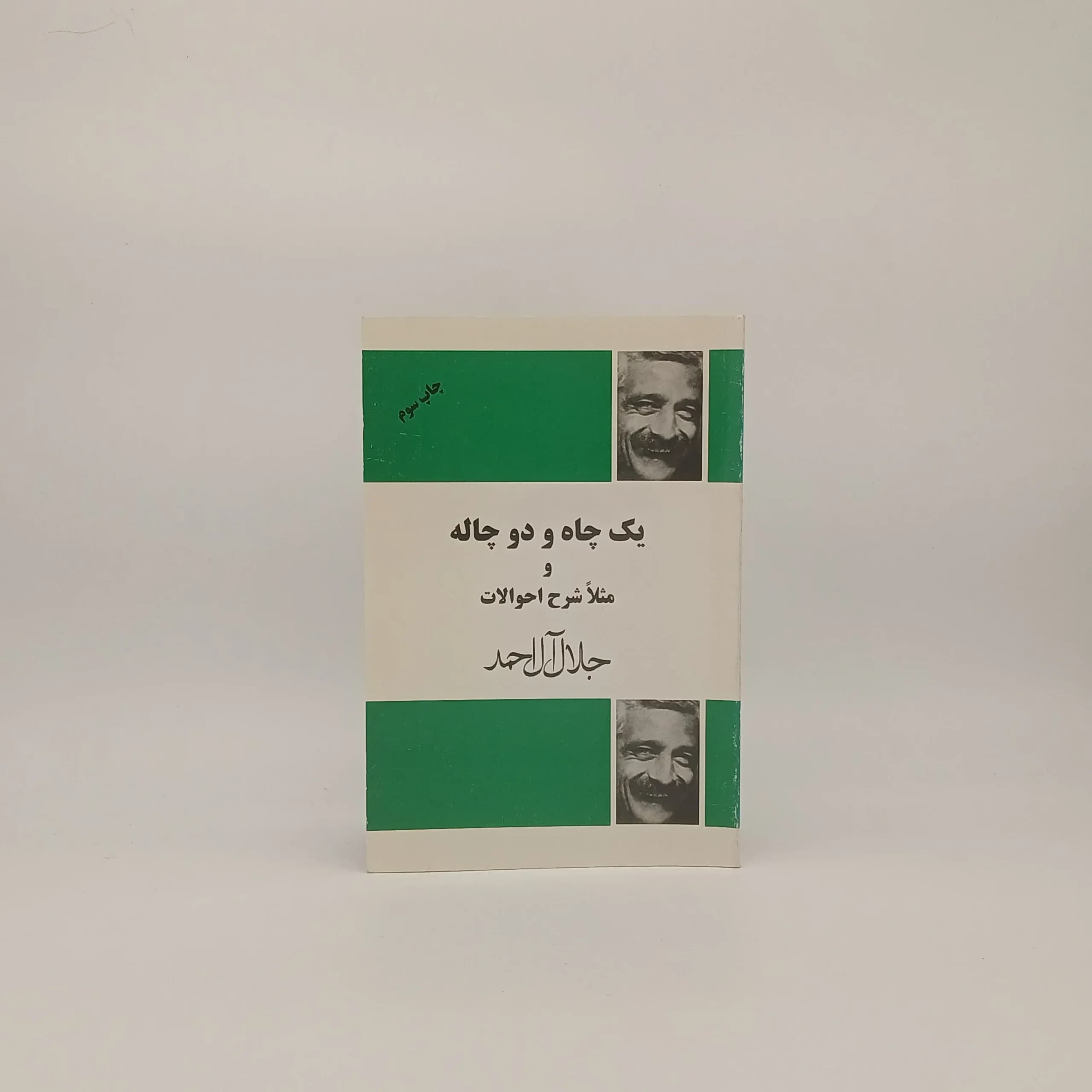 یک چاه و دو چاله و مثلا شرح احوالات — تصویر ۲