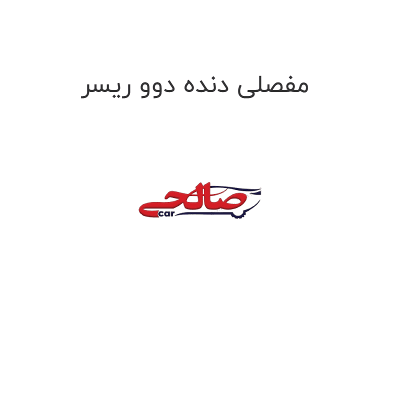 مفصلی دنده دوو ریسر