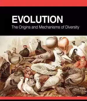 دانلود کتاب Evolution: The Origins and Mechanisms of Diversity – تکامل: خاستگاه ها و مکانیسم های تنوع